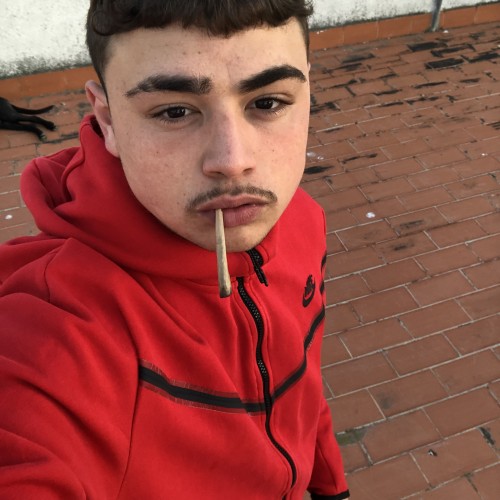 Daniel A. profile photo