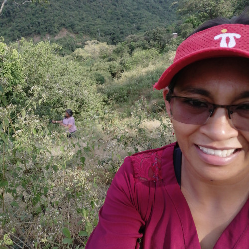 Diana S. profile photo