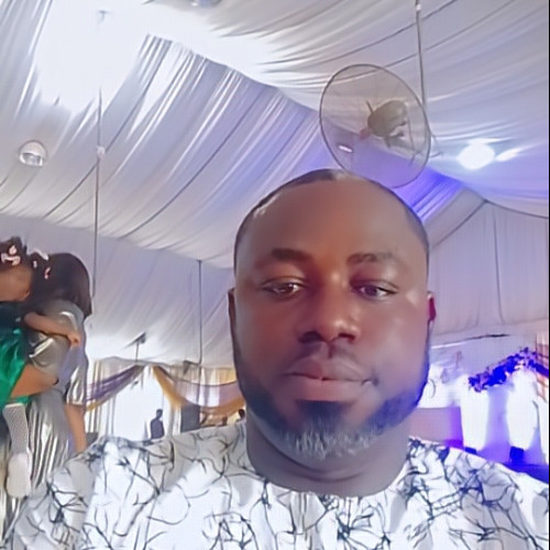 Nnamdi  N. profile photo