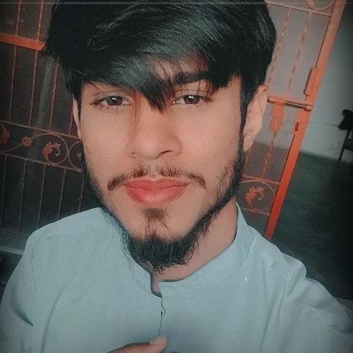 Syed  A. profile photo
