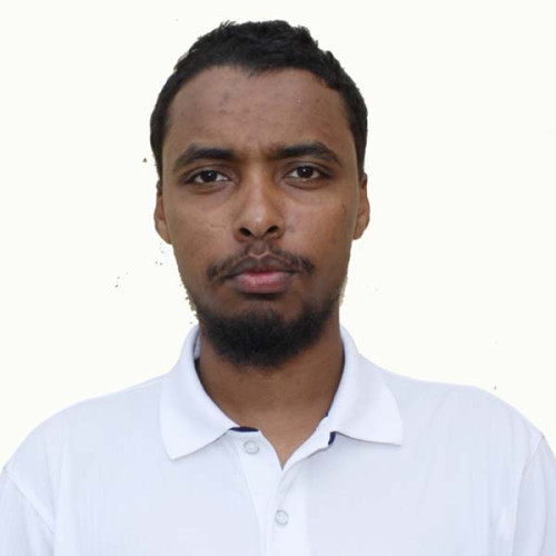 Hamza M.
