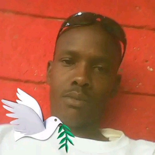 Anthony S. profile photo