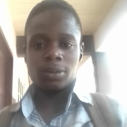 Damilola O.