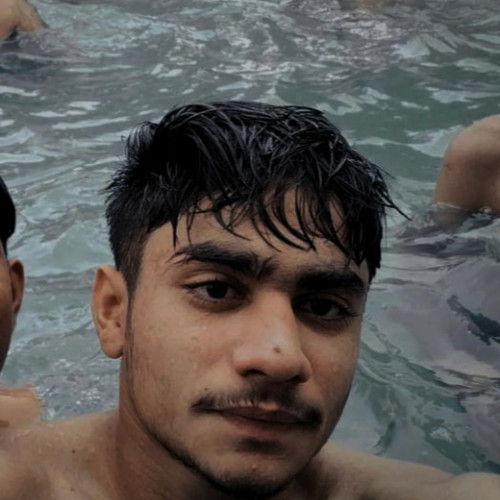 Harshit M. profile photo