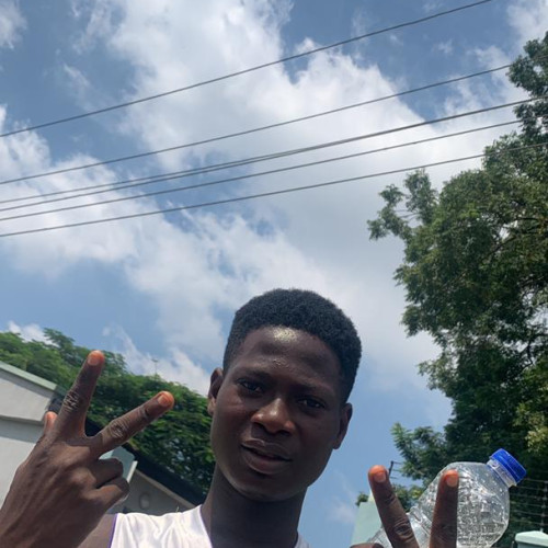 Olaoluwa F. profile photo