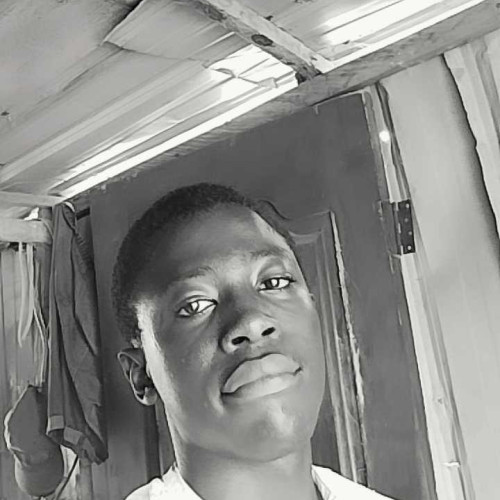 Ayobami O. profile photo