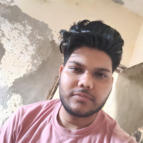 Ashwani K.