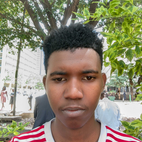 paul n. profile photo