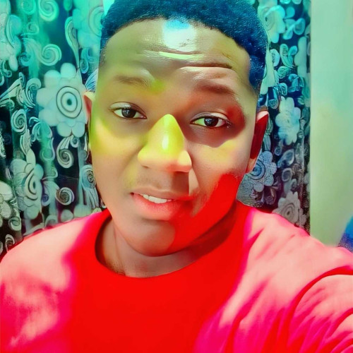 Amadu A. profile photo