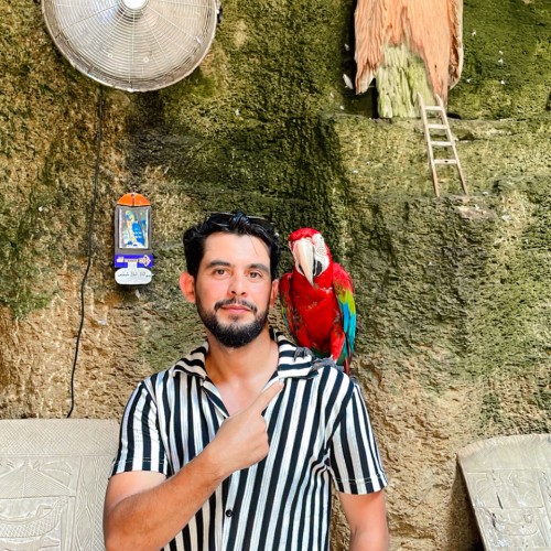 Amine  M. profile photo