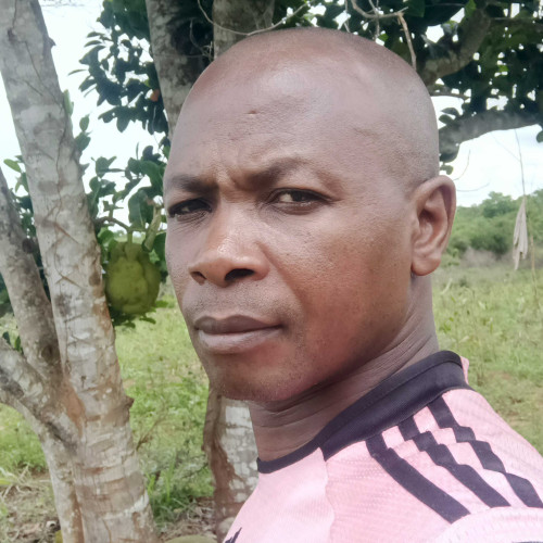 Heri P. profile photo