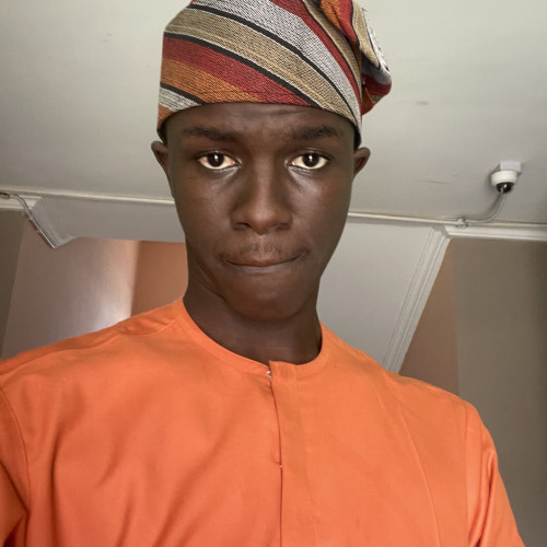Ogedegbe T. profile photo