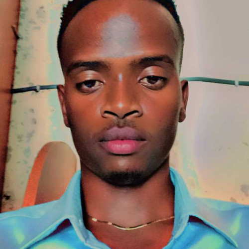 Dennis N. profile photo