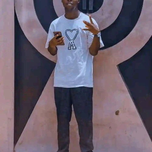 Ajayisaye O. profile photo