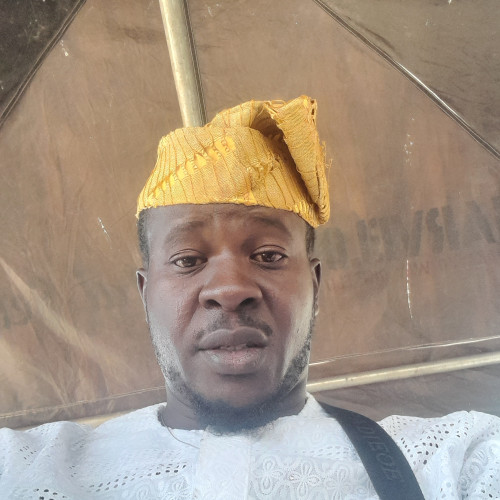 Olalekan O. profile photo