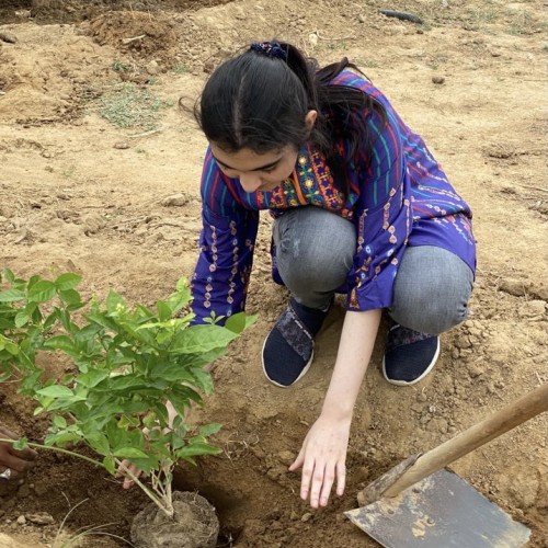 Zainab A. profile photo
