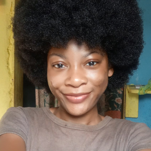 Sarah N. profile photo