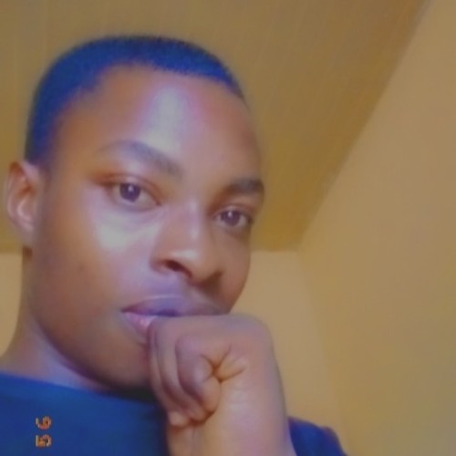 Sani H. profile photo