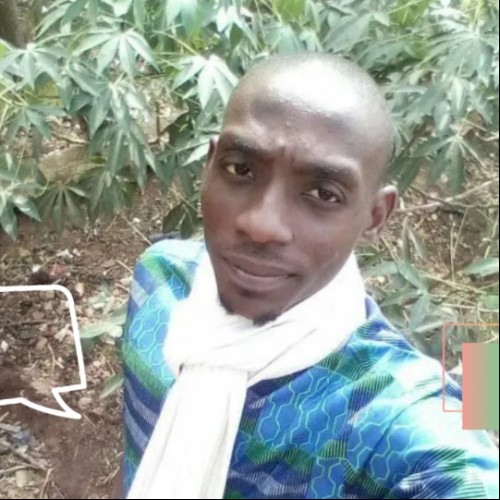  Nnaemeka  O. profile photo