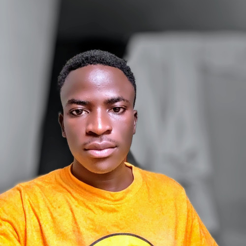 Olivier N. profile photo