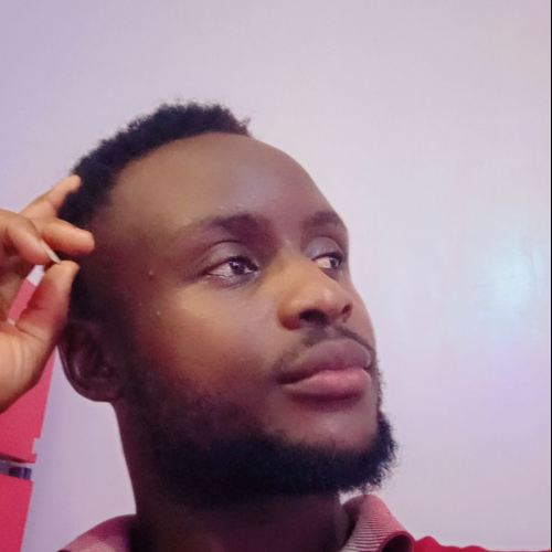 precious Ndubuisi A. profile photo