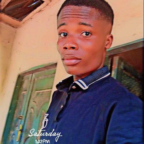 Chineye D. profile photo