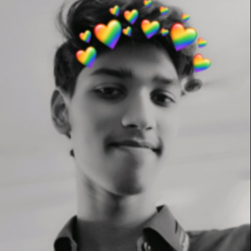 Gokul S. profile photo