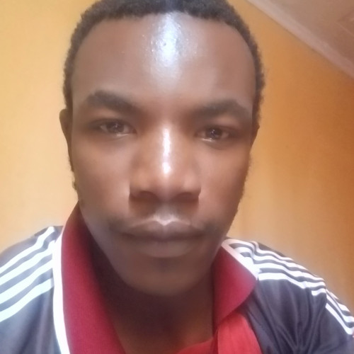 Arnold K. profile photo