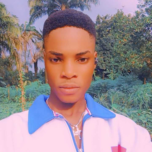 Prince chiemela c. profile photo