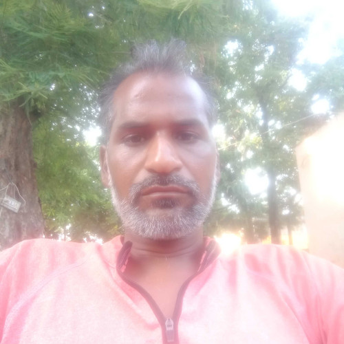 Narinder K. profile photo