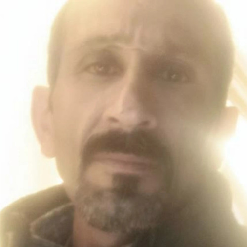 Behrang M. profile photo