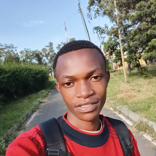 Dalmas  N. profile photo