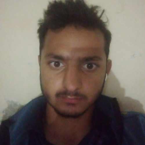 wajid a.