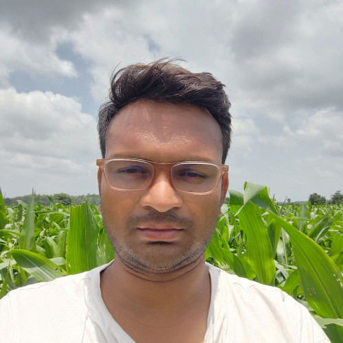 Dinesh S. profile photo