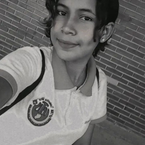 Deliannis H. profile photo