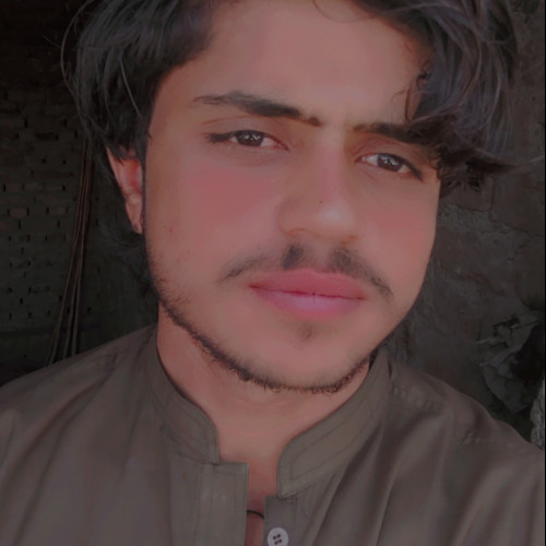 Zahid b. profile photo