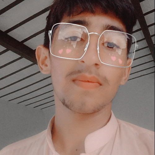 Ali H. profile photo