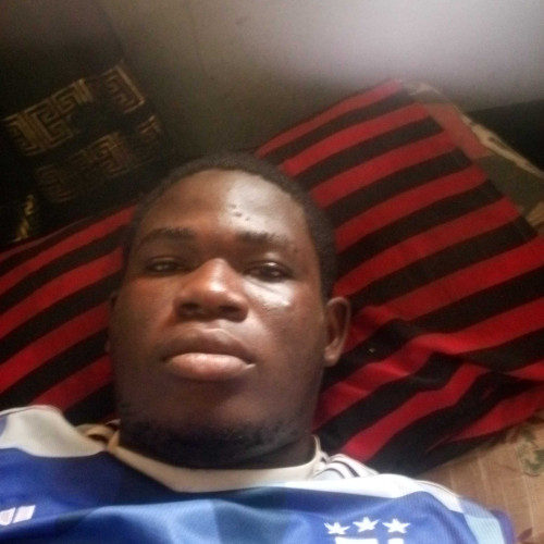 David B. profile photo