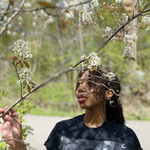 Anna D. profile photo