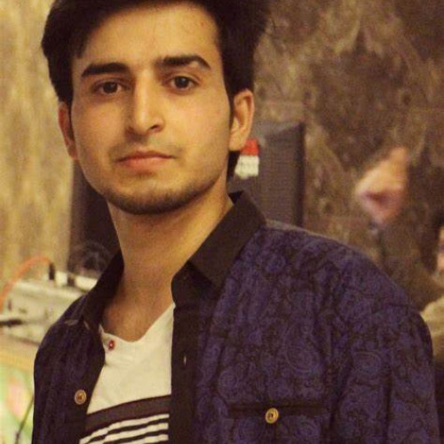 zizo n. profile photo