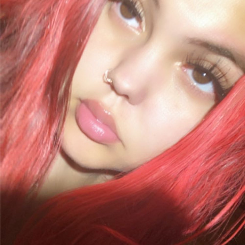 Jay N. profile photo