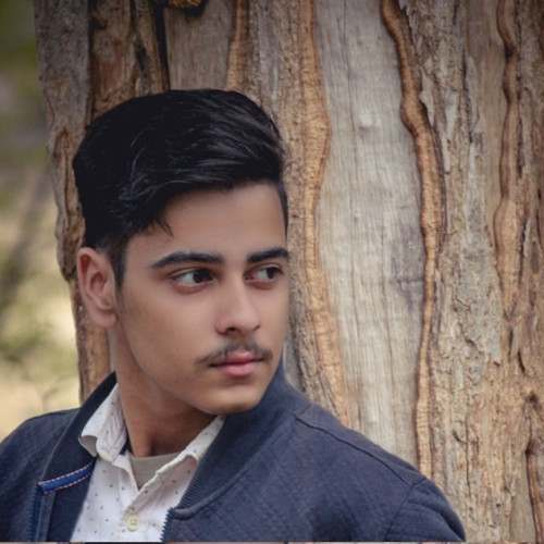 Zebi M. profile photo
