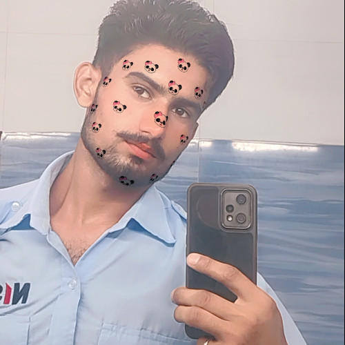 Sanjay M. profile photo