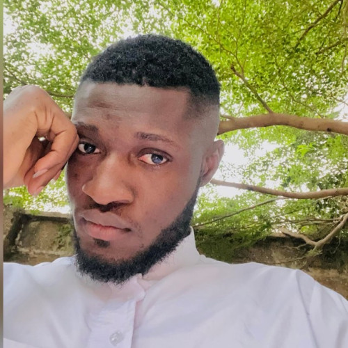 Adeyemi A. profile photo