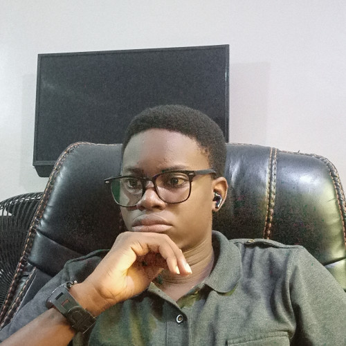 Okhionkpamwonyi A. profile photo