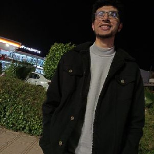 Ilyass L.