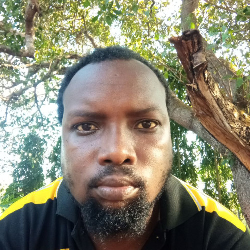Simon N. profile photo