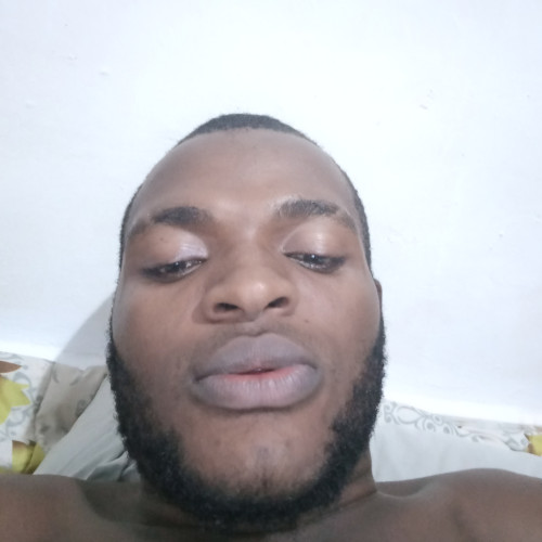 Harrison  L. profile photo