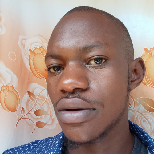 Dragon M. profile photo