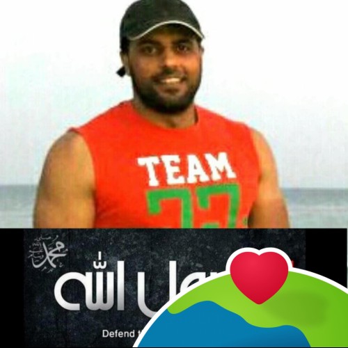 hamed b.